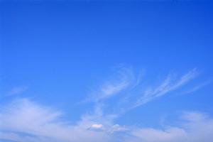 富士宮市で質の高い葬儀を提供する【富士葬祭 田中町】の特徴とアクセス情報