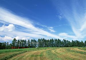 堺市近くににあり樹木葬がおすすめの霊園