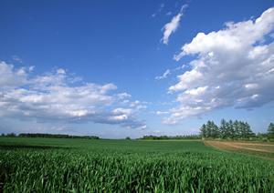 浜松市中央区の信頼できる葬祭サービス【富士葬祭 高林】の特徴とご利用ガイド