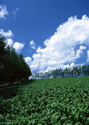 群馬県高崎市で満足できる葬儀について