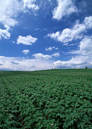 四日市の家族葬を行うとわのそら