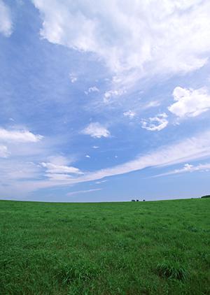 静岡市駿河区に新しい家族葬専用斎場「家族葬のタクセル大和」が2022年11月にオープン
