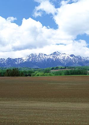 津田沼での葬儀に関することなら