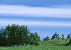 静岡県富士宮市の家族葬ホール・葬儀場【富士葬祭】詳細ガイドと特徴解説