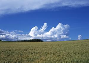 静岡市葵区にある【家族葬のタクセル沓谷】の特徴と魅力を徹底解説