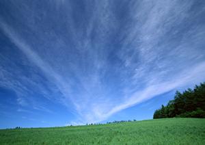 静岡県富士宮市の家族葬に最適な斎場|家族葬のタクセル光町の特徴と料金プラン