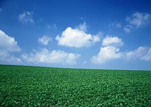 静岡市駿河区の家族葬に最適な葬儀場【富士葬祭 中村町】の詳細情報と特徴