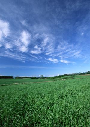安心と信頼の家族葬プラン|川越市で選ばれる理由と費用のポイント