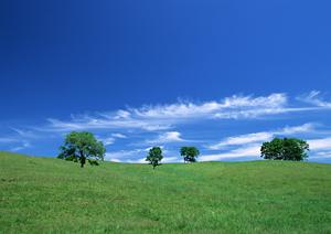 【公式】富士葬祭 藤枝御苑｜静岡県藤枝市の家族葬・葬儀場情報とサービス解説
