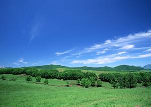 取手で家族葬をしたいならこちらの会社