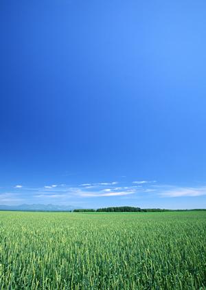 大阪の墓地なら海泉寺へ