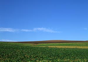 静岡県焼津市で選ばれる家族葬専門斎場｜家族葬のタクセル東小川の特徴とサービス内容