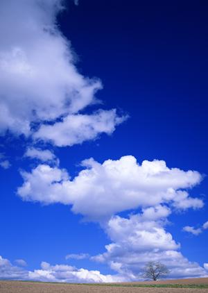 2025年最新版:鹿児島で信頼される葬儀サービスの選び方と成功のポイント