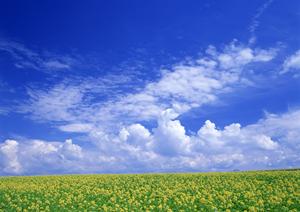 静岡県浜松市に位置する「家族葬のタクセル天王」の全貌と advantages