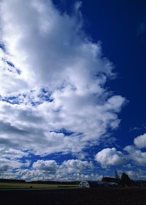 浜松市中央区高林にある信頼の葬儀場|富士葬祭 高林の特徴とサービス詳細