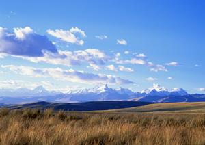 老舗の仏壇・仏具店の通販サイト