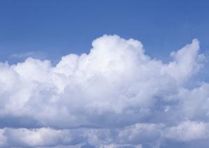 【公式】ティア越谷の葬儀サービスと特徴|安心価格で家族葬から一般葬まで対応可能な葬儀場