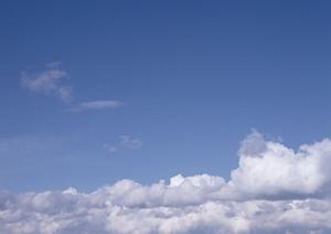 墓地を東京で探しているのであれば