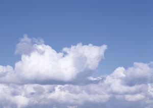 川越で葬儀を予定するならこちらへ