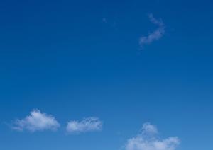 品質が高い仏像修理を行う専門業者選び