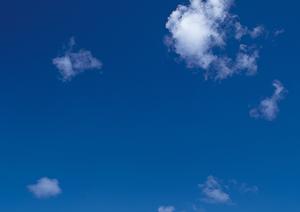 静岡市で信頼できる葬儀サービスを提供する富士葬祭 静岡の詳細と特徴