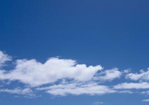 さいたま市で葬儀をしてもらえる会社