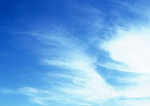 合祀墓や供養塔の建立も行なう会社