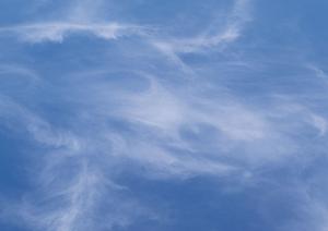 家族葬に定評のある徳島の葬儀場は