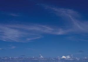 人気になっている盛岡永代供養の特徴