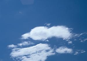 南大阪霊園|堺で家族の絆を大切にした供養を考える方への完全ガイド