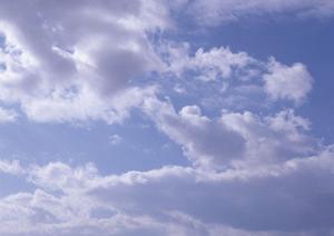 千葉で自然葬をしたいと考えているのなら