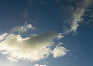 東京では納骨堂を使う人が多いです