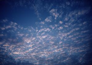 静岡市清水区で家族葬・火葬式に最適な葬儀場【家族葬のタクセル西久保】の詳細ガイド