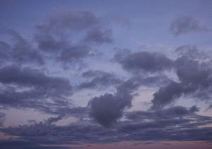 静岡市で信頼の葬儀サービスを提供する富士葬祭 唐瀬:プライベート感あふれる家族葬と多彩なプランのご紹介