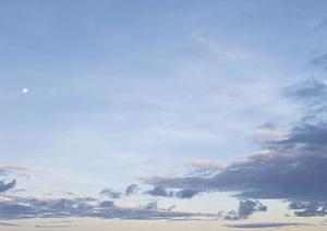 勇気のある人の果敢な取り組みとは