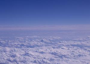 永代供養してもらえる東京の墓地はこちら