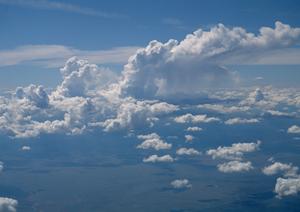 老後の安心満載!都心で屋内供養が可能な最適な永代供養サービスを徹底比較