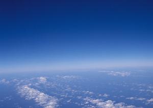 東京において適切な価格で墓地を確保