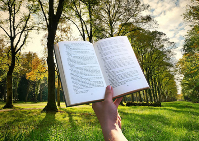 葬儀場の選び方ガイド